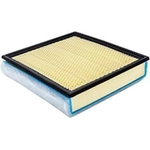 Order Air Filter by BALDWIN - PA10428 For Your Vehicle