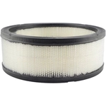 Order Air Filter by BALDWIN - PA1680 For Your Vehicle