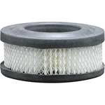 Order Air Filter by BALDWIN - PA1704 For Your Vehicle