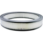 Order Air Filter by BALDWIN - PA1802 For Your Vehicle