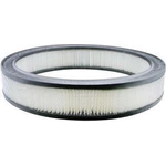 Order Air Filter by BALDWIN - PA1802 For Your Vehicle