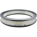 Order Air Filter by BALDWIN - PA1828 For Your Vehicle