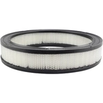 Order Air Filter by BALDWIN - PA2005 For Your Vehicle