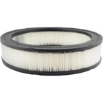 Order Air Filter by BALDWIN - PA2007 For Your Vehicle