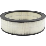 Order Air Filter by BALDWIN - PA2008 For Your Vehicle