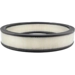 Order Air Filter by BALDWIN - PA2024 For Your Vehicle