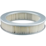 Order Air Filter by BALDWIN - PA2031 For Your Vehicle