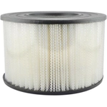 Order Air Filter by BALDWIN - PA2042 For Your Vehicle