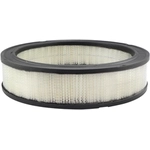 Order Air Filter by BALDWIN - PA2051 For Your Vehicle