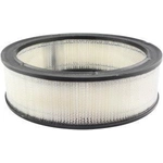 Order Air Filter by BALDWIN - PA2052 For Your Vehicle