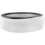 Order Air Filter by BALDWIN - PA2073 For Your Vehicle