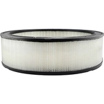 Order Air Filter by BALDWIN - PA2079 For Your Vehicle