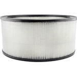 Order Air Filter by BALDWIN - PA2091 For Your Vehicle
