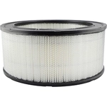 Order Air Filter by BALDWIN - PA2092 For Your Vehicle