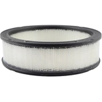 Order Air Filter by BALDWIN - PA2106 For Your Vehicle