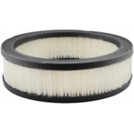 Order Air Filter by BALDWIN - PA2109 For Your Vehicle