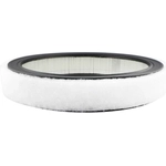Order Air Filter by BALDWIN - PA2110 For Your Vehicle