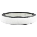 Order Air Filter by BALDWIN - PA2110 For Your Vehicle