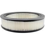 Order Air Filter by BALDWIN - PA2117 For Your Vehicle