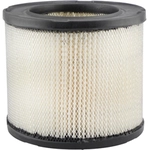 Order Air Filter by BALDWIN - PA2134 For Your Vehicle