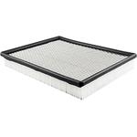 Order Air Filter by BALDWIN - PA2149 For Your Vehicle