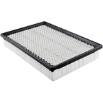 Order Air Filter by BALDWIN - PA2152 For Your Vehicle