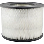 Order Air Filter by BALDWIN - PA2156 For Your Vehicle