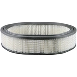 Order Air Filter by BALDWIN - PA2158 For Your Vehicle