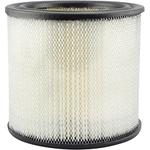Order Air Filter by BALDWIN - PA2162 For Your Vehicle