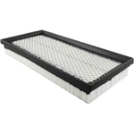 Order Air Filter by BALDWIN - PA2164 For Your Vehicle