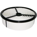 Order Air Filter by BALDWIN - PA2171 For Your Vehicle