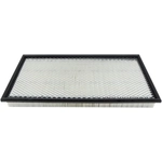 Order Air Filter by BALDWIN - PA2178 For Your Vehicle