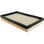 Order Air Filter by BALDWIN - PA2196 For Your Vehicle
