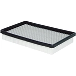 Order Air Filter by BALDWIN - PA2231 For Your Vehicle