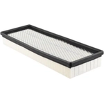 Order Air Filter by BALDWIN - PA2234 For Your Vehicle
