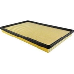 Order Air Filter by BALDWIN - PA2241 For Your Vehicle