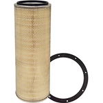 Order Air Filter by BALDWIN - PA2493 For Your Vehicle