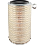 Order Air Filter by BALDWIN - PA2504 For Your Vehicle