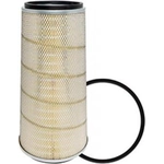 Order Air Filter by BALDWIN - PA2631 For Your Vehicle