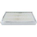 Order Air Filter by BALDWIN - PA3756 For Your Vehicle