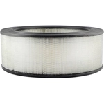 Order Air Filter by BALDWIN - PA4005 For Your Vehicle