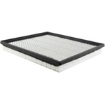 Order Air Filter by BALDWIN - PA4046 For Your Vehicle