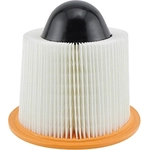 Order Air Filter by BALDWIN - PA4075 For Your Vehicle