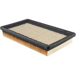 Order Air Filter by BALDWIN - PA4079 For Your Vehicle
