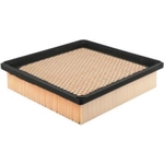 Order Air Filter by BALDWIN - PA4099 For Your Vehicle