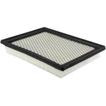 Order Air Filter by BALDWIN - PA4100 For Your Vehicle