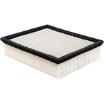 Order Air Filter by BALDWIN - PA4102 For Your Vehicle