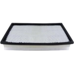 Order Air Filter by BALDWIN - PA4110 For Your Vehicle