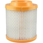 Order Air Filter by BALDWIN - PA4118 For Your Vehicle