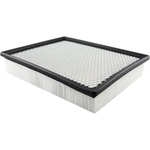 Order Air Filter by BALDWIN - PA4134 For Your Vehicle